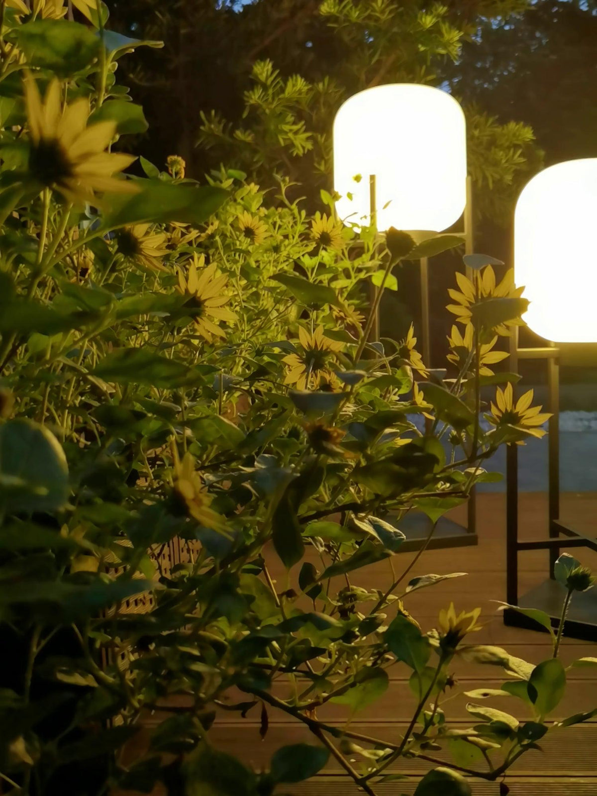 Lantern solar outdoor floor lamp in black with frosted white shade — image 23