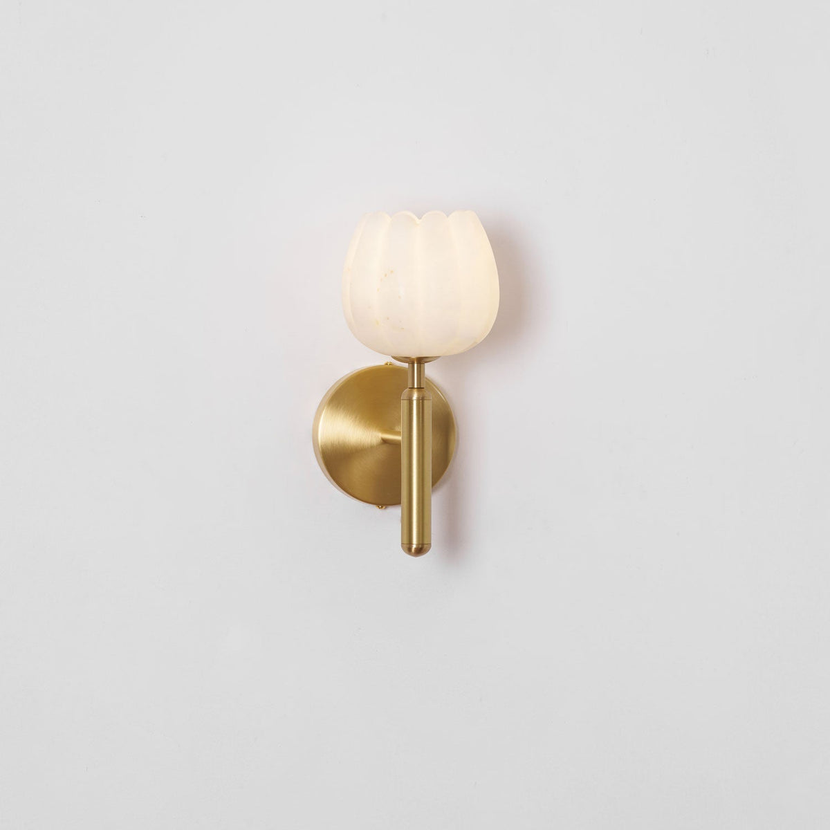 Textured Tulip Shade Wall Light – Round Metal Backplate – view 41