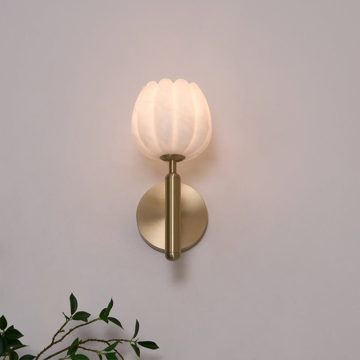 Textured Tulip Shade Wall Light – Round Metal Backplate